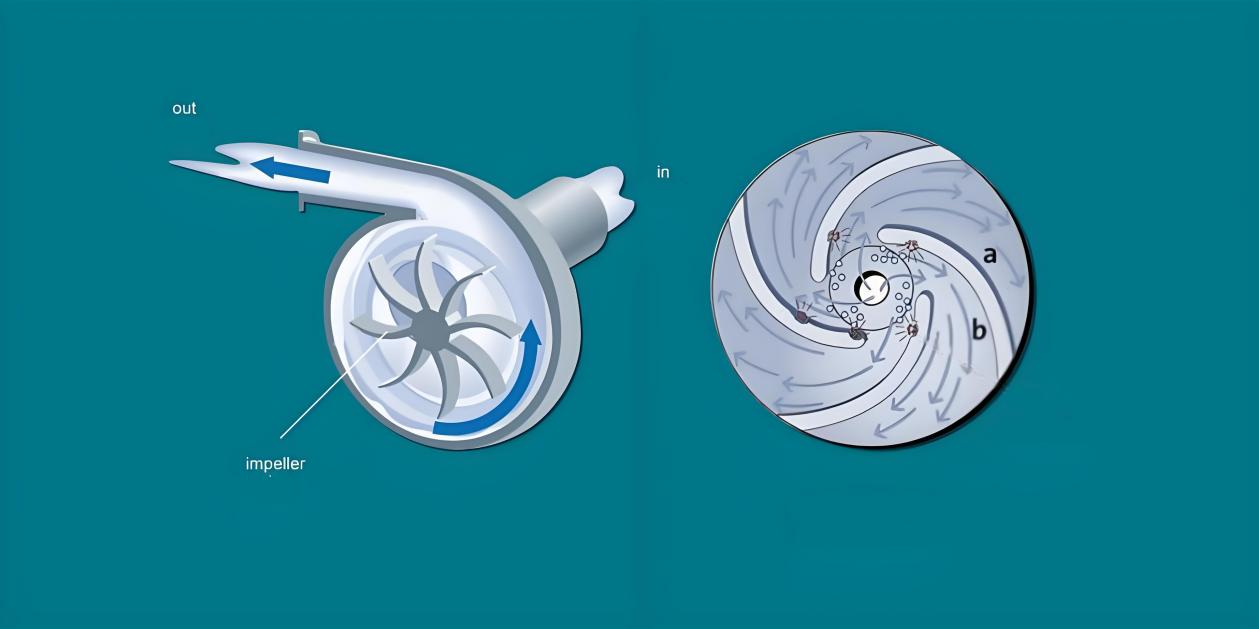 Working Principle of Chemical Centrifugal Pumps
