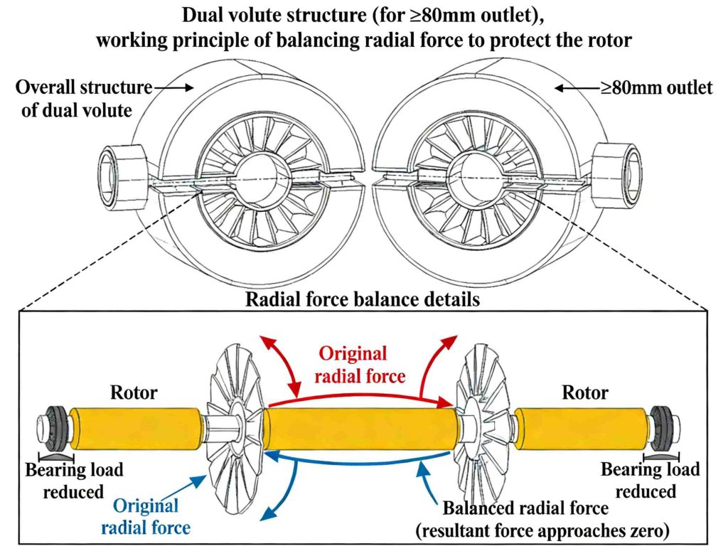 Principle of Double Cavity Balance Radial Force Protecting Rotor