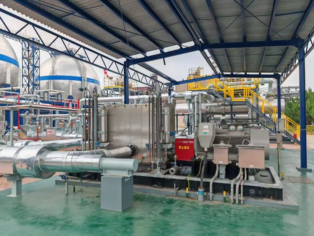 The Qilu Petrochemical–Shengli Oilfield Million-Ton CCUS Project